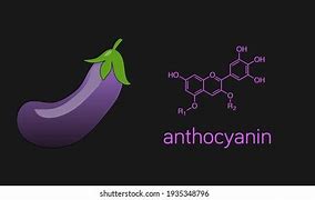 bb6b820d1f07107c35108bb541359417_1753277843_4088.jpg