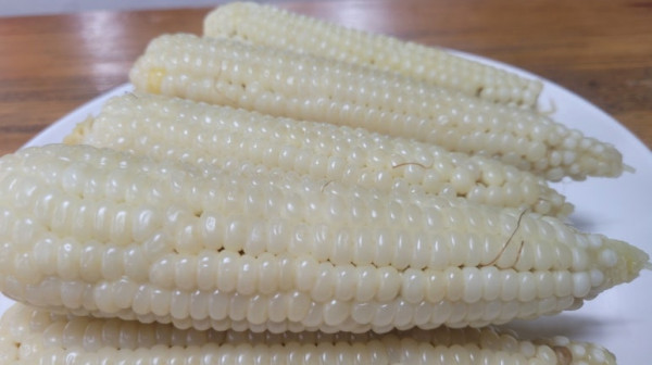 49b0a1c3d66a8a7e2a20f08c0243d6fd_1753096141_0598.jpg